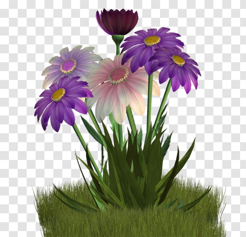 Flower Clip Art - Violet - Floral Decoration Cartoon Line Drawing Transparent PNG