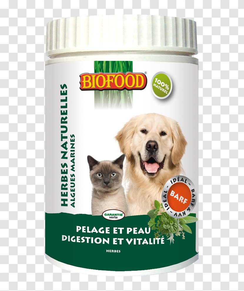 Dietary Supplement Dog Cat Food Eating - Flavor Transparent PNG