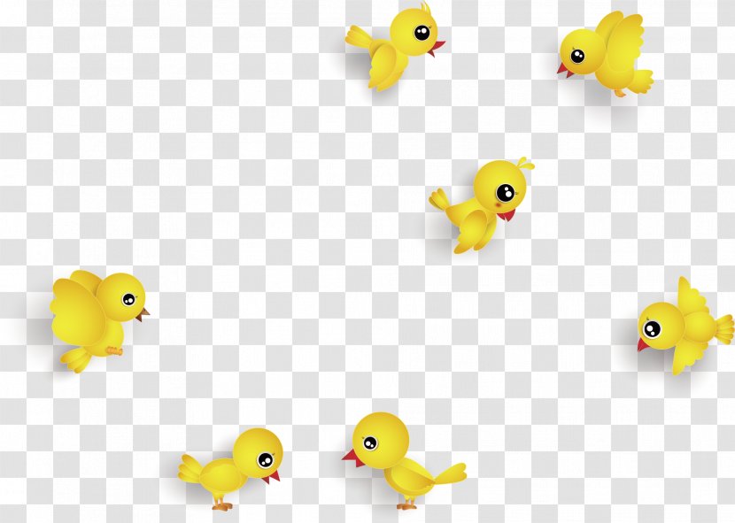Chicken Bird - Material - Yellow Chick Vector Transparent PNG