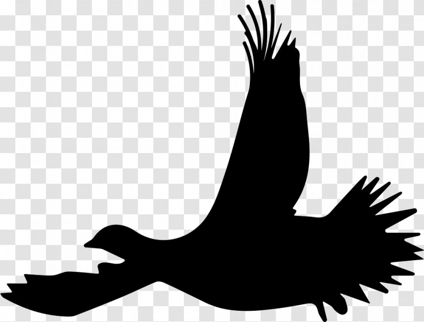 Bird Ruffed Grouse Flight Silhouette Transparent PNG