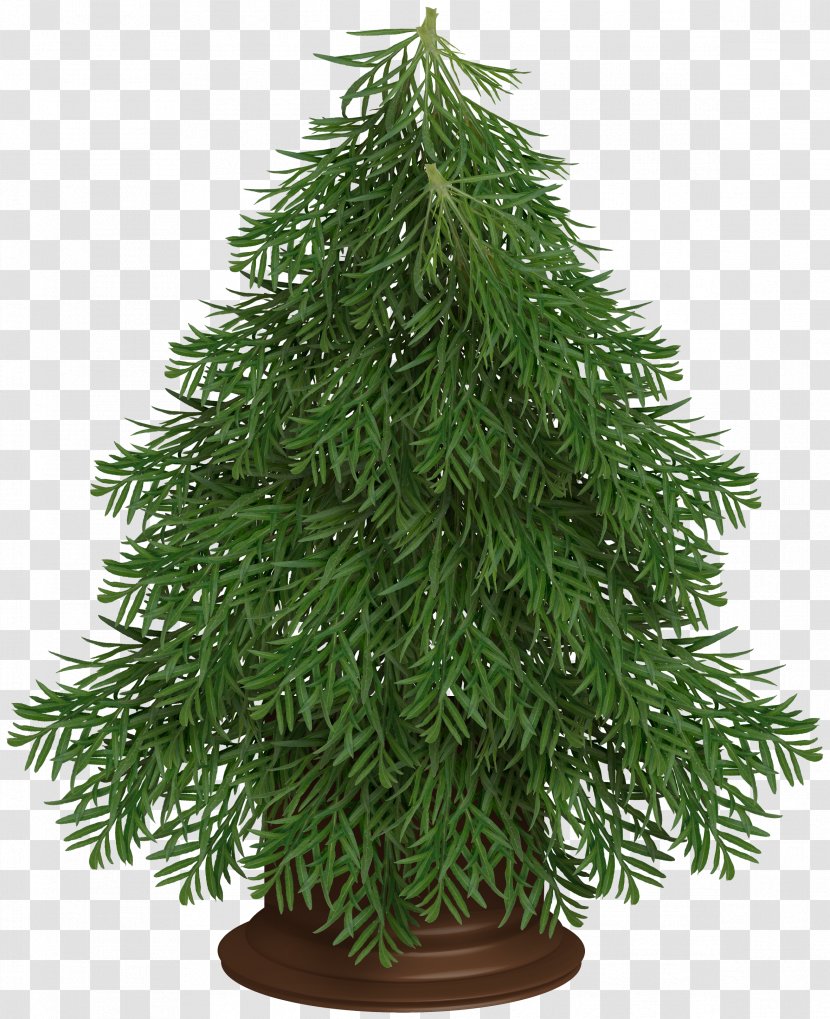 Christmas Tree - Spruce - Luxury Transparent PNG