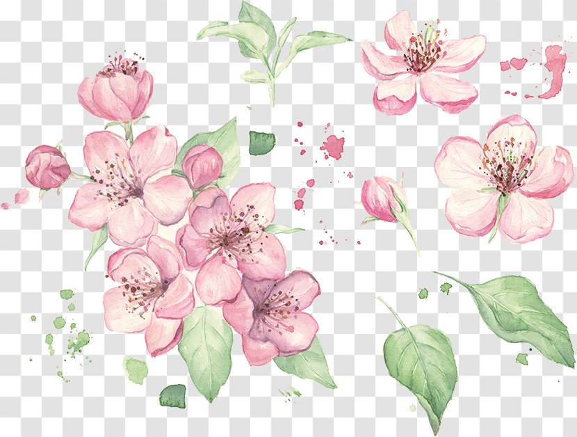 Floral Design Watercolor Painting Stock Photography Transparent PNG