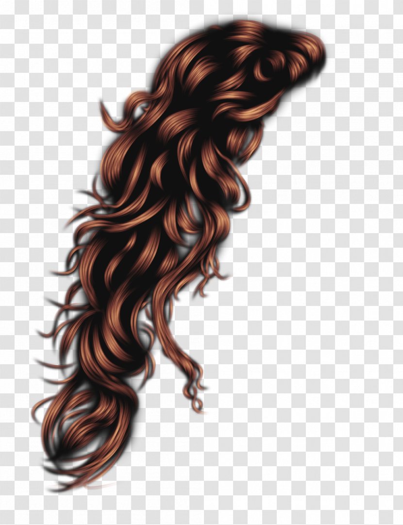 Hairstyle Afro-textured Hair Long - Hairdressing Transparent PNG