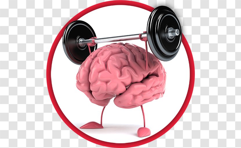 Mentales Training Dietary Supplement Sports - Brain - Team Transparent PNG