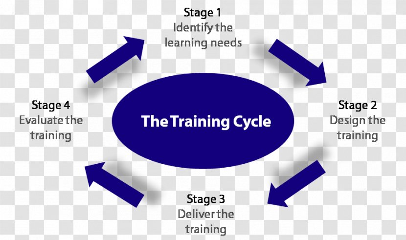 Training Needs Analysis Experiential Learning Cycle - Expert Transparent PNG
