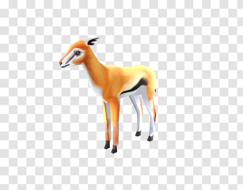 Springbok Impala Gazelle Terrestrial Animal Snout - Chevrolet - Galaxy Zoo Transparent PNG