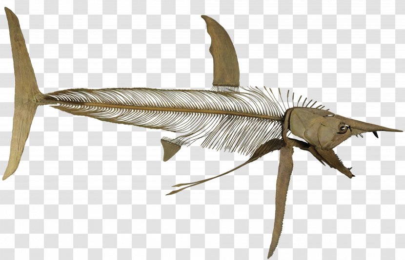 Origami - Sailfish Animal Figure Transparent PNG