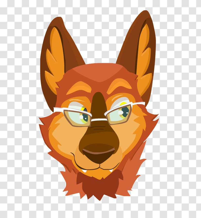 Whiskers Red Fox Dog Snout Transparent PNG
