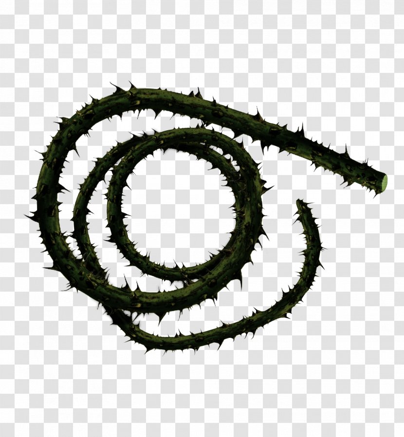 Whip Corpse Carrier Thorns, Spines, And Prickles Weapon Vine - Hardware Accessory Transparent PNG