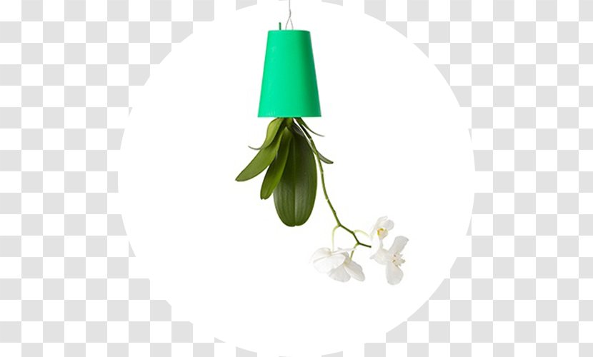 Flowerpot Plant Green Cachepot Ceramic - Polygon City Flyer Transparent PNG