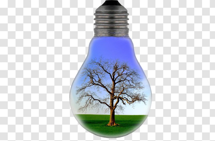 Electricity Slogan Energy Conservation Electric Light - Fossil Fuel - Bulb Trees Transparent PNG