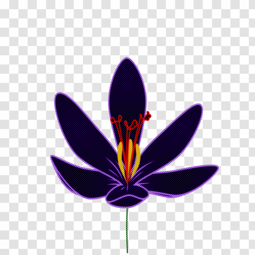 Purple Flower Petal Plant Violet Transparent PNG