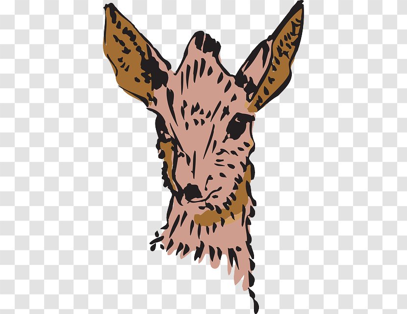 Antelope Clip Art - Head - Woodland Animals Transparent PNG