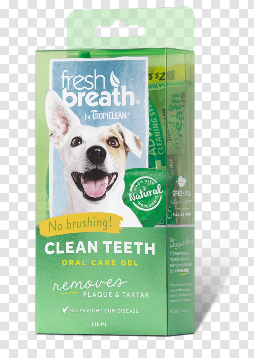 Teeth Cleaning Tooth Brushing Dental Calculus Cat Dog Transparent PNG