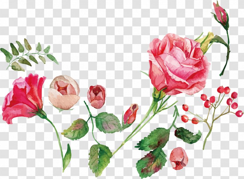 Watercolor Painting Flower Rose Royalty-free - Plant - Vector Sea Transparent PNG