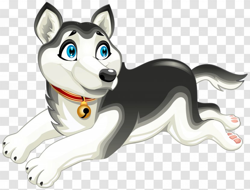 Siberian Husky Alaskan Malamute Labrador Retriever Puppy - Small To Medium Sized Cats Transparent PNG