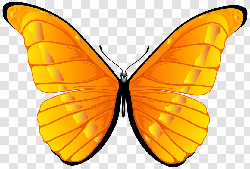 Butterfly Orange Clip Art - Image Transparent PNG