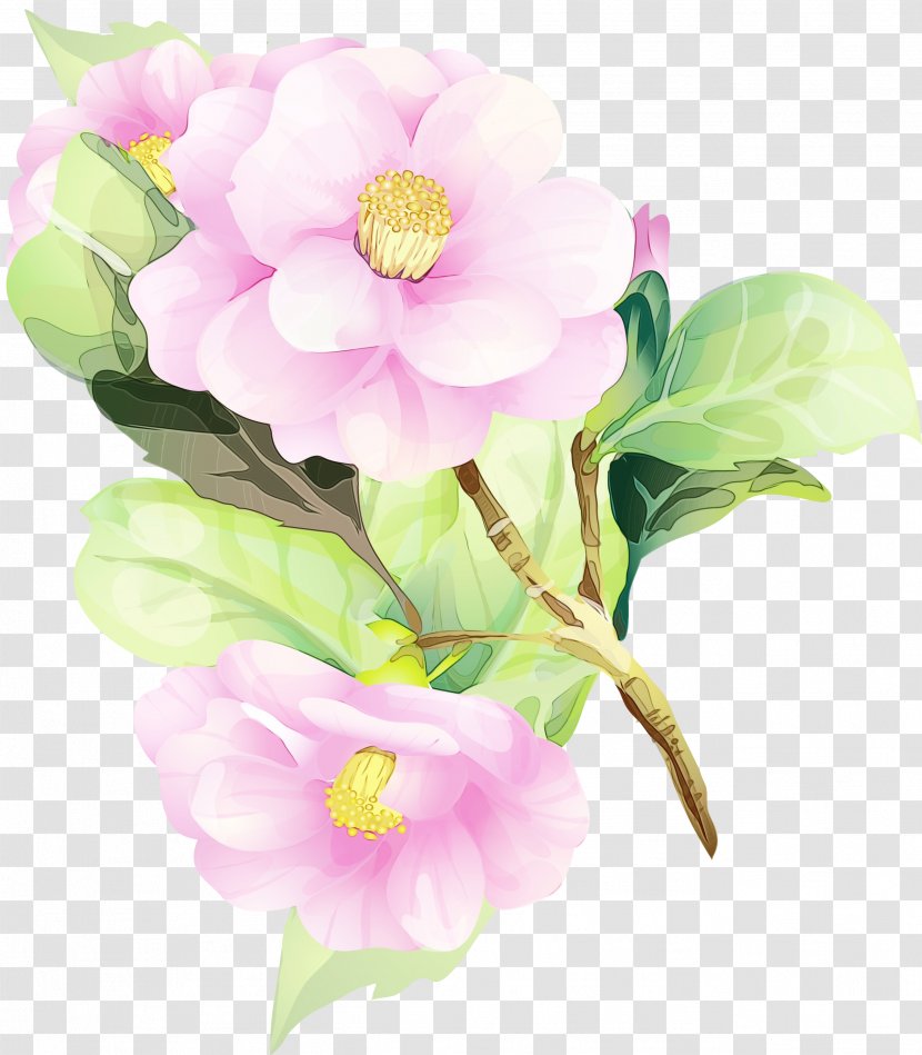 Watercolor Painting Watercolour Flowers Floral Design Art - Plant - Cut Transparent PNG