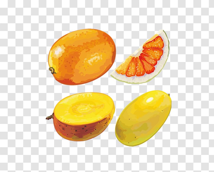 Cantaloupe Fruit Hami Melon - Watercolor Painting Transparent PNG