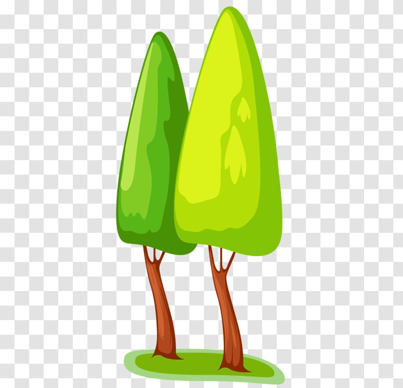 Vector Graphics Image Illustration Photography - Plant - Tree Transparent PNG