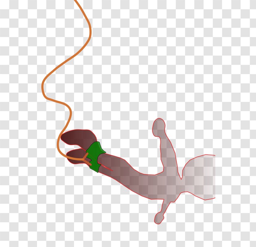 Bungee Jumping Clip Art - Frame - Cliparts Transparent PNG