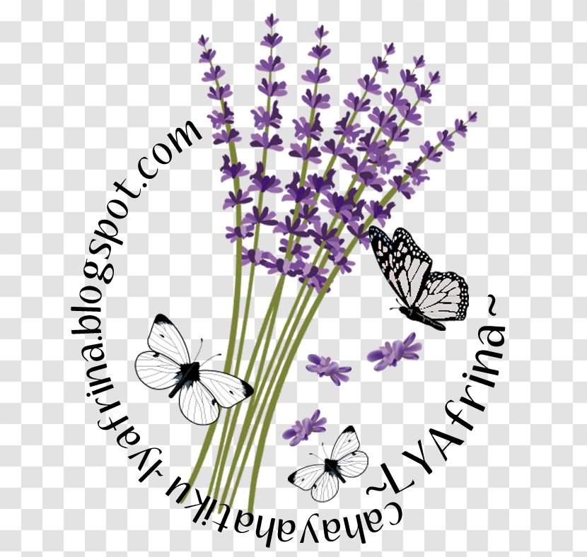 Butterfly Insect Cut Flowers Plant Stem - Moths And Butterflies Transparent PNG