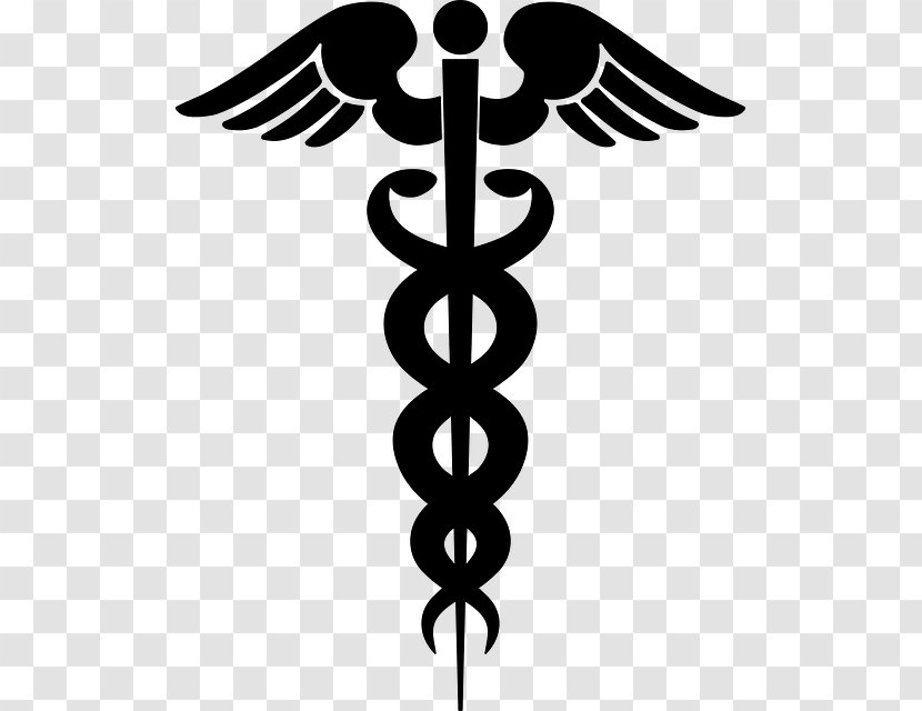 Staff Of Hermes Vector Graphics Caduceus As A Symbol Medicine Clip Art Image - Logo - Cross Transparent PNG