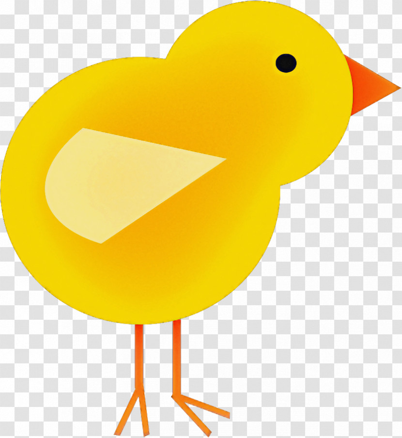 Ducks Birds Chicken Beak Water Bird Transparent PNG