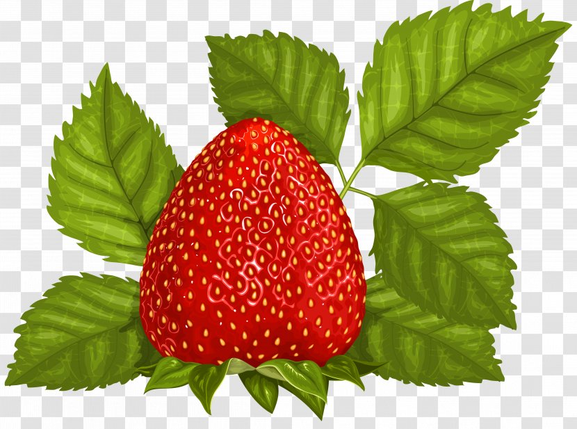 Juice Strawberry Fruit Leaf Clip Art - With Leaves Clipart Picture Transparent PNG