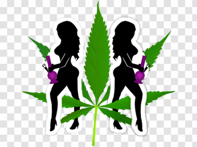 Ganja Girls LLC Cannabis Hemp Bong Head Shop - Leaf Transparent PNG