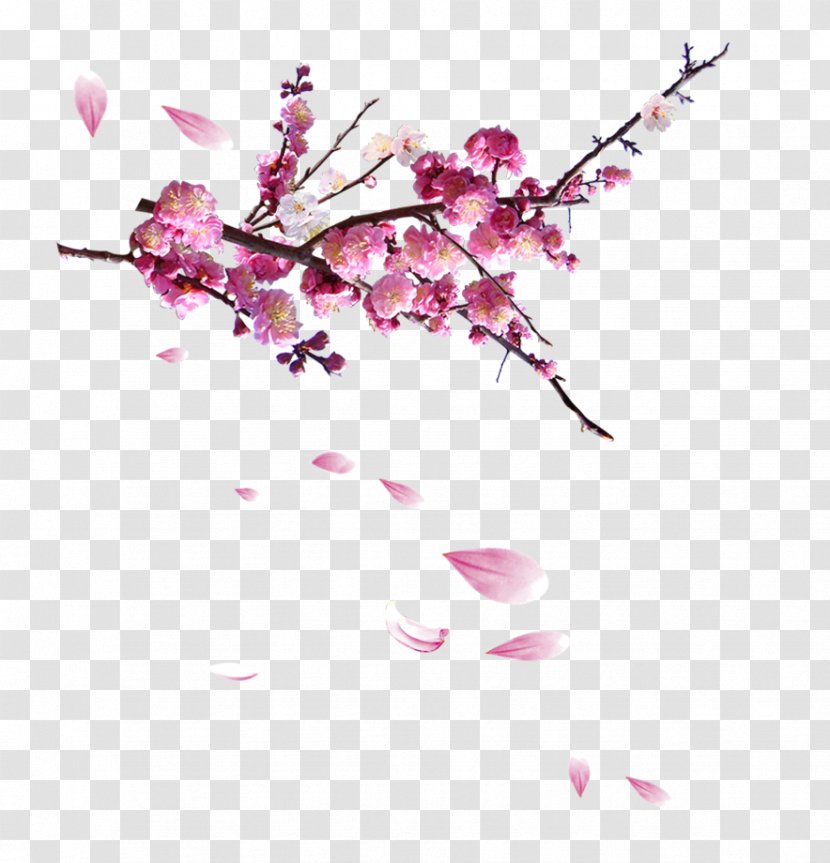 Chinoiserie Poster Fundal - Heart - Apricot Leaves Transparent PNG