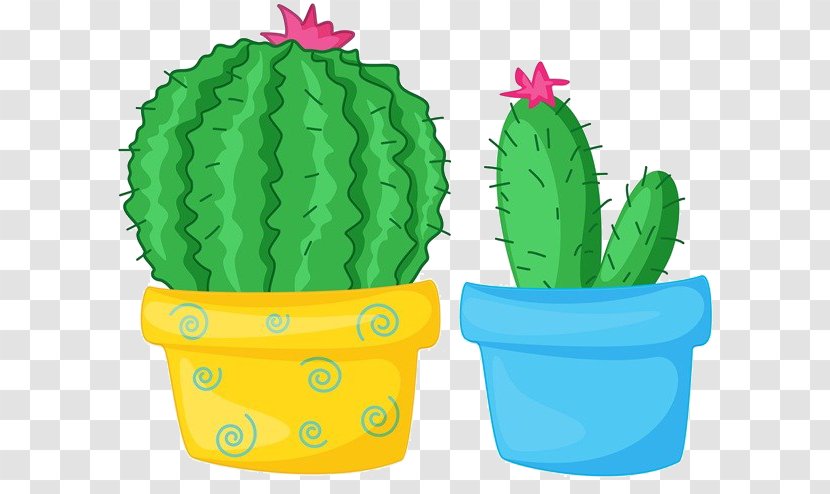 Cactaceae Drawing Illustration - Cartoon Cactus Material Transparent PNG