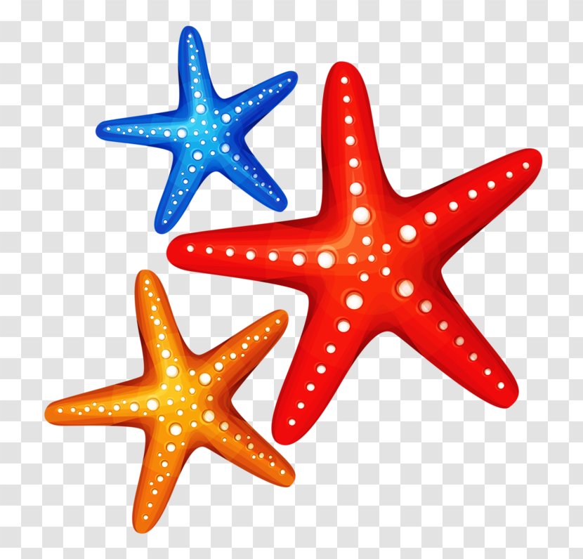 Starfish Clip Art Transparent PNG