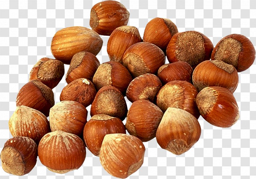 Hazelnut Tree Nut Allergy Chestnut Food - Auglis - Common Hazel Transparent PNG