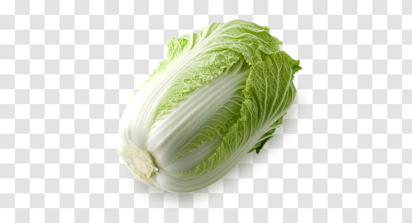 Nabemono Tsukemono Napa Cabbage Asazuke Vegetable - Portraitphotography Transparent PNG