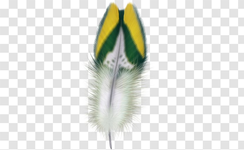 Feather Bird Clip Art Transparent PNG