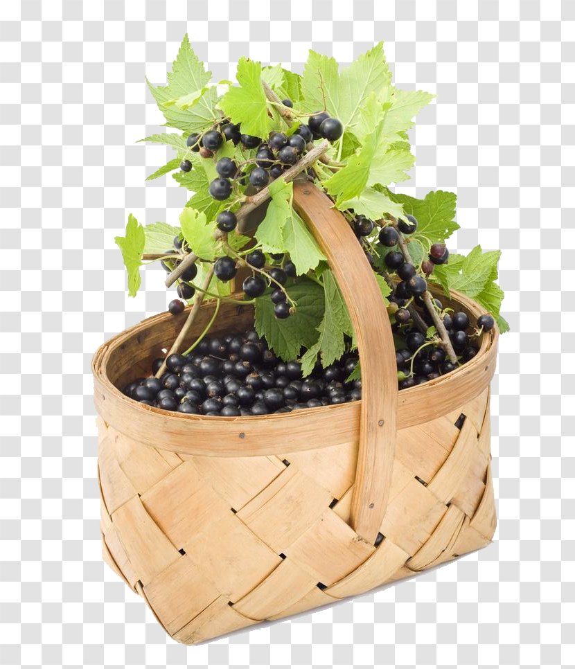 Redcurrant Blackcurrant White Currant Gooseberry - Flowerpot - Grape Fruit Basket Transparent PNG