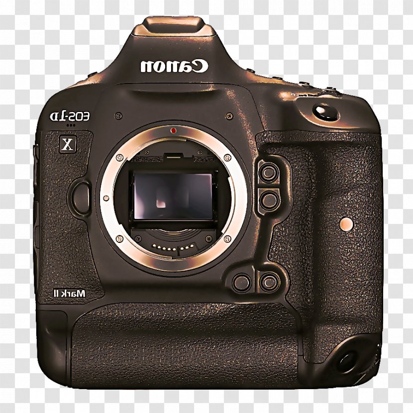 Canon Camera - Digital Slr - Shutter Flash Transparent PNG