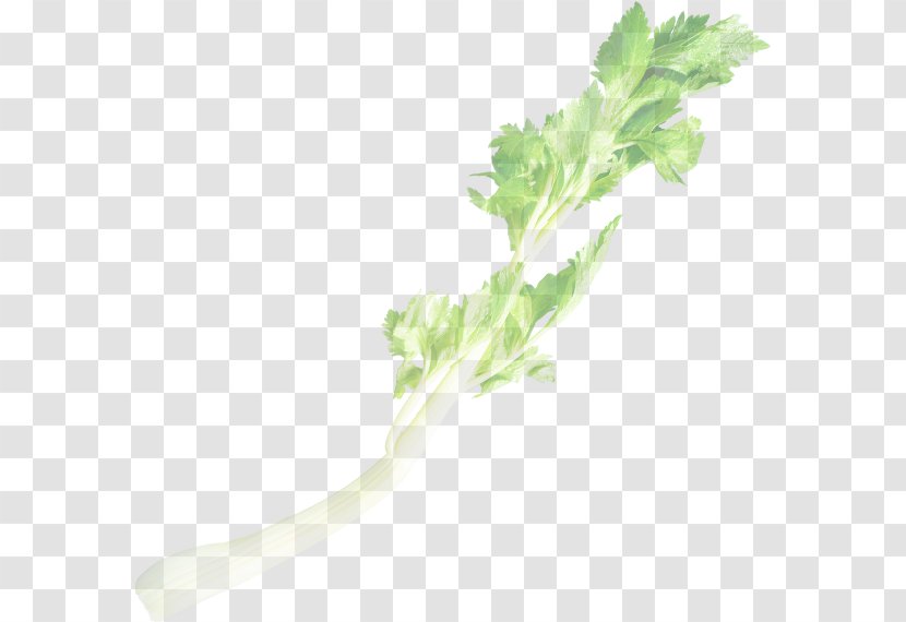 Chard Kagome カゴメ・野菜生活100 Vegetable Juice Spring Greens - Leaf - Celery Transparent PNG