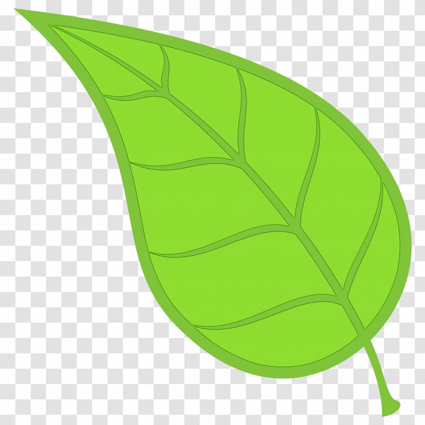 Banana Leaf - Tree - Vegetarian Food Transparent PNG