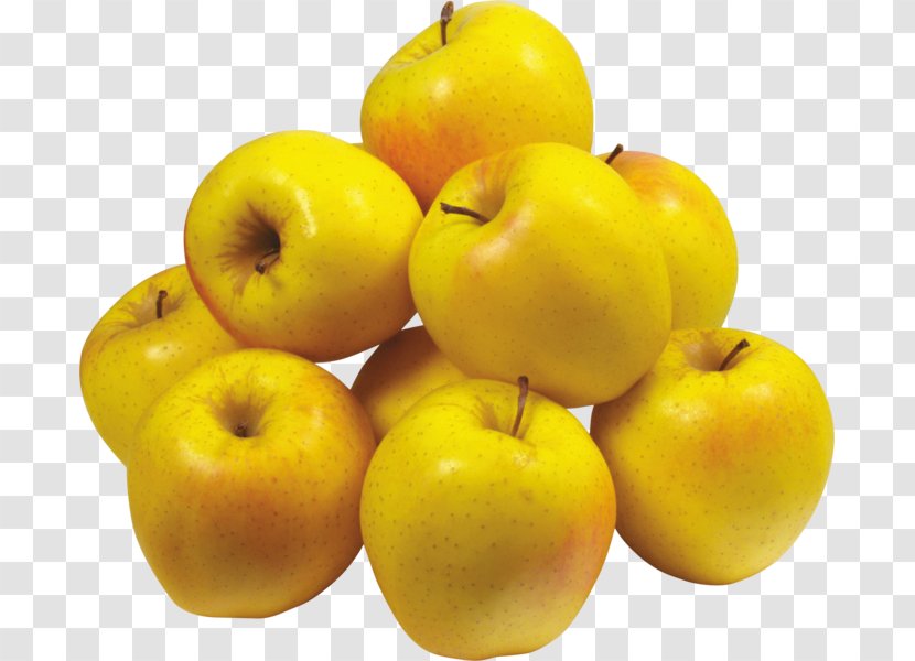 Apple Fruit Tree Golden Delicious - Ginger Gold Transparent PNG