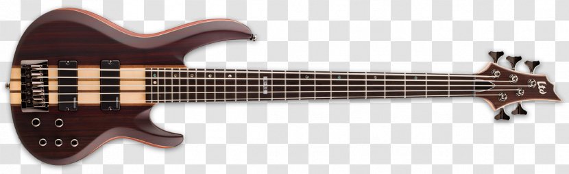 ESP Guitars Bass Guitar LTD Electric - Cartoon - Shipping Bridge Construction Transparent PNG