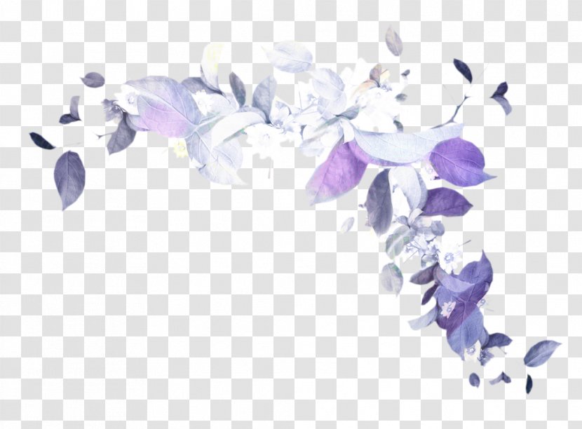 Floral Flower Background - Lavender - Moth Orchid Transparent PNG