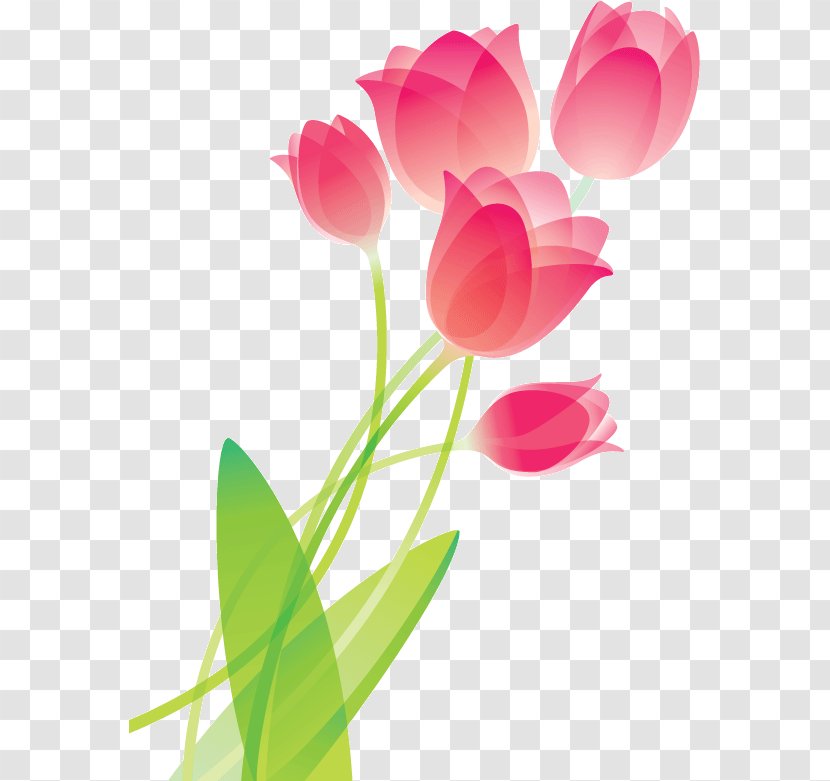 Tulip Drawing Flower Clip Art - Royaltyfree - Abstract Tulips Transparent PNG