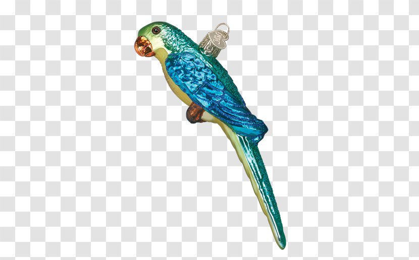Budgerigar Parakeet Lovebird Macaw - Feather - Uncivilized Behavior In The Dormitory Building Transparent PNG