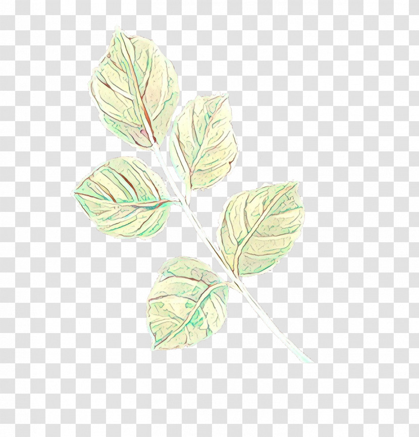 Leaf Plant Flower Tree Petal Transparent PNG