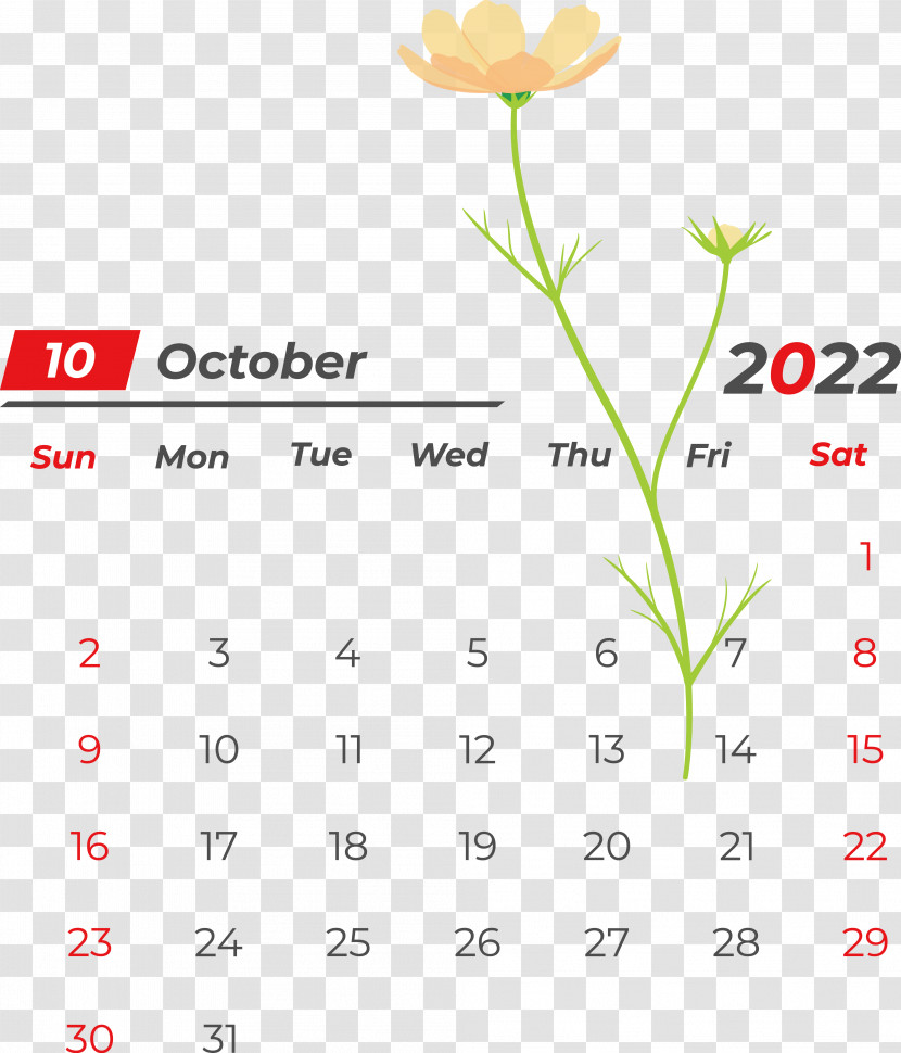 Flower Line Font Petal Calendar Transparent PNG