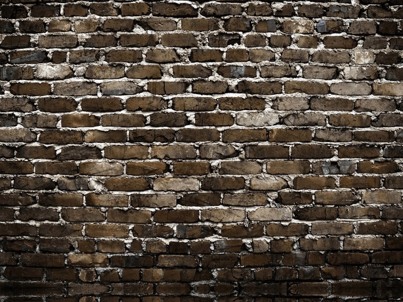 Brick Wall Photography Photographic Studio Transparent PNG