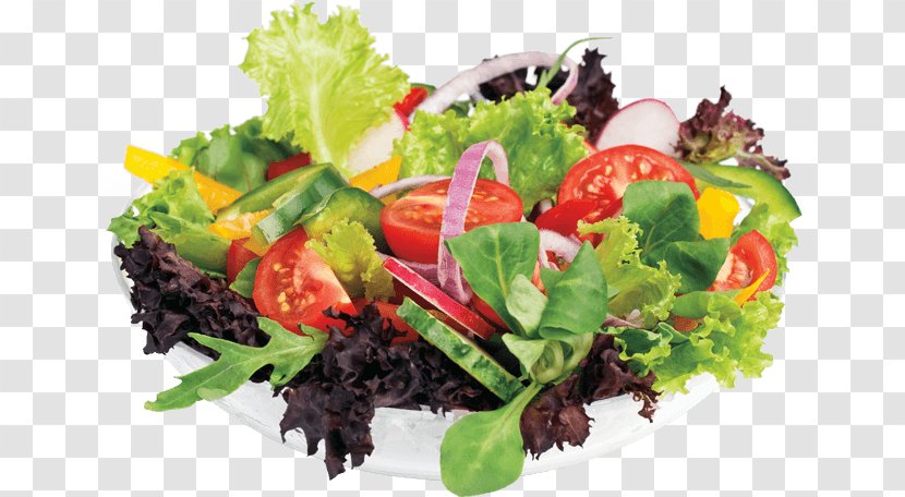 Lettuce Raita Salad Tikka Restaurant - Sauce - Fresh Transparent PNG