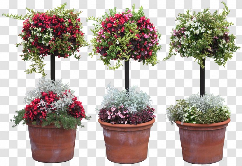 Grow Light Plant Garden Full-spectrum - Rhododendron Transparent PNG